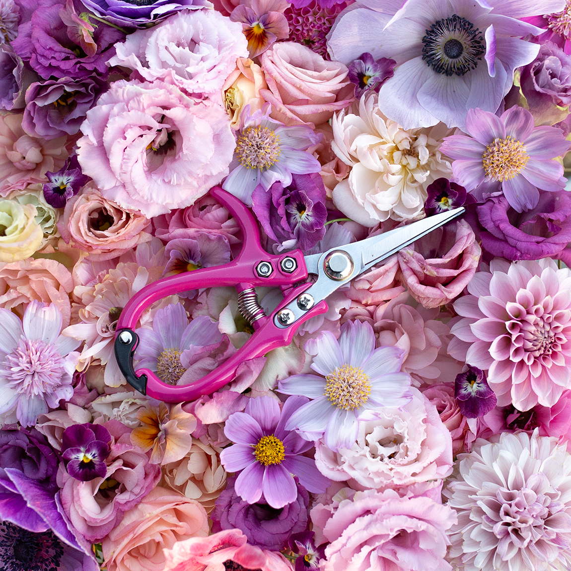Flower Snips 'Rosé' *NEW*