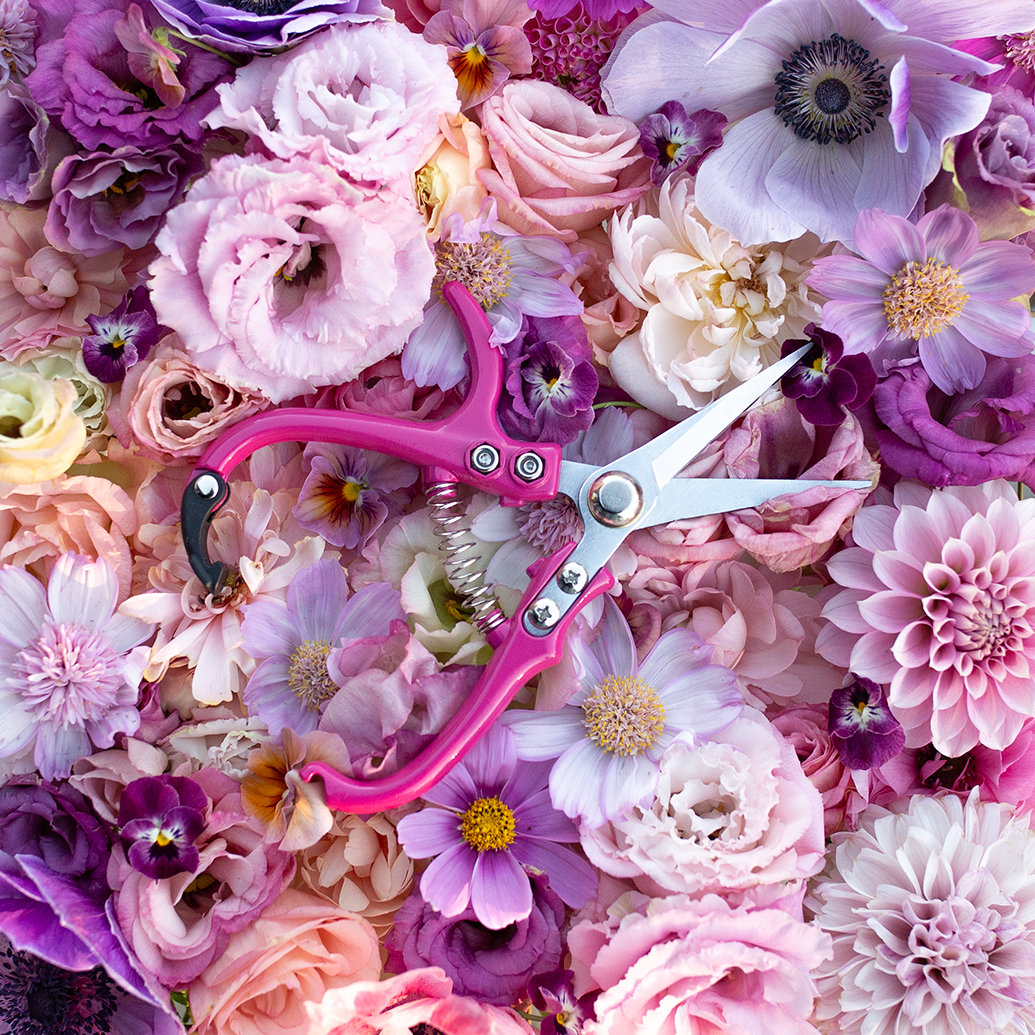 Flower Snips 'Rosé' *NEW*