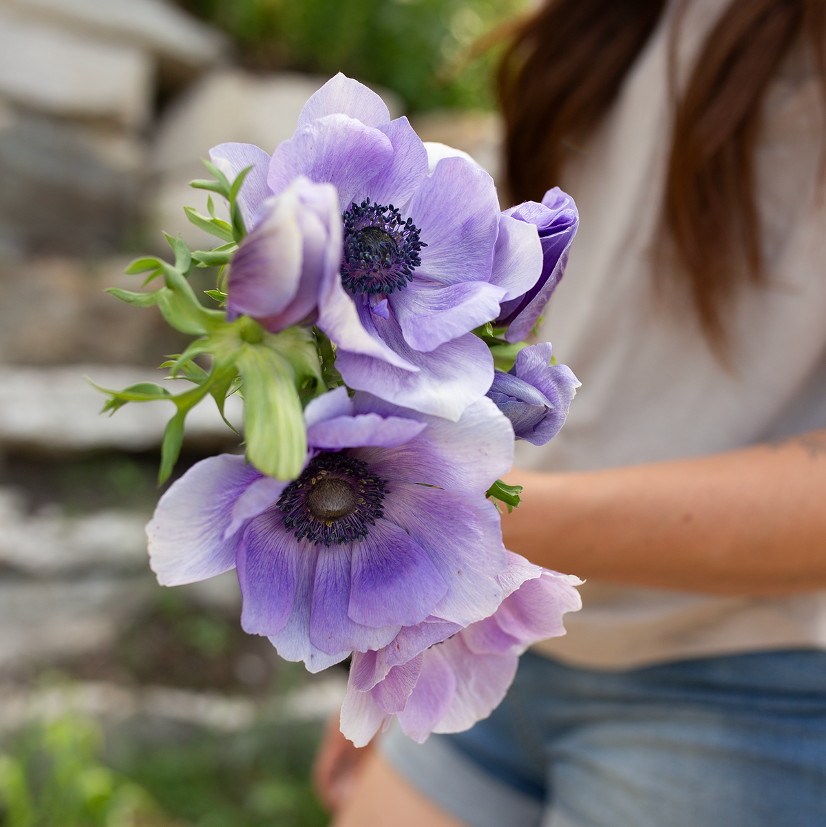 Ranunculus 'Chamallow' – Fleurelle Flower Farm