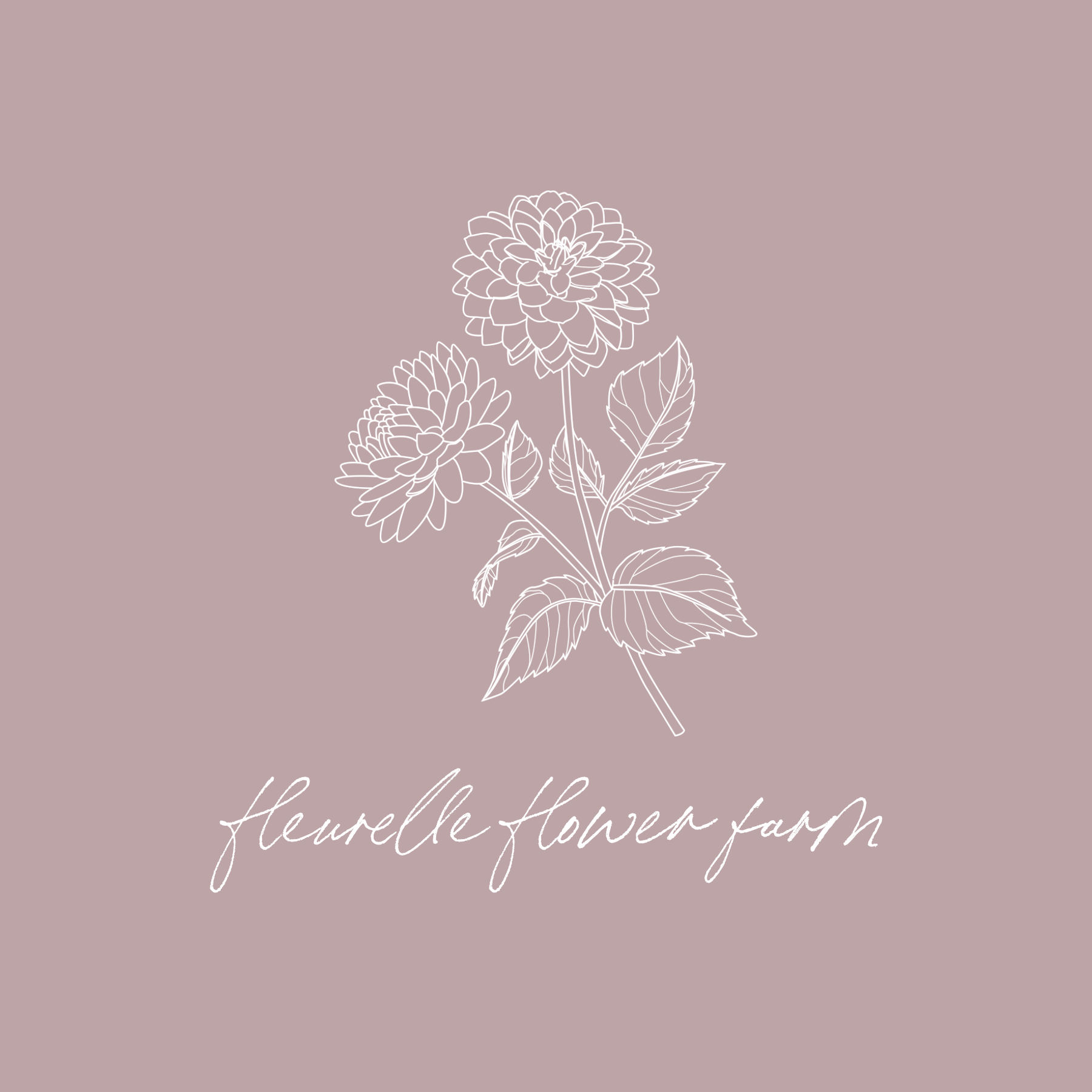 Dahlia '20th Ave Memory'