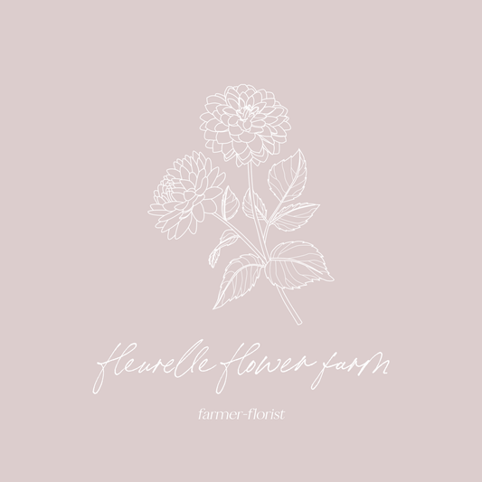 Dahlia Cutting 'Araluen Leatrice'