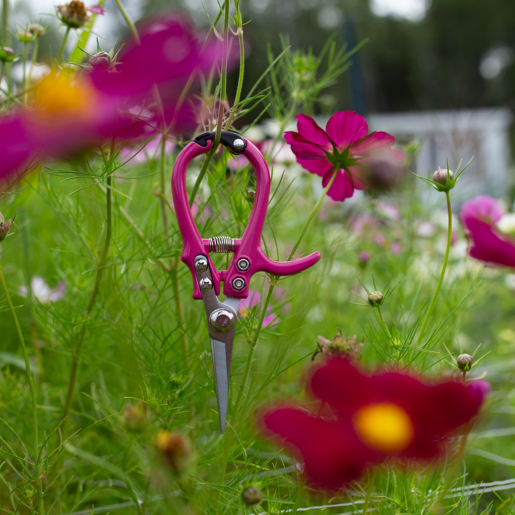 Floral Snips 'Rosé'