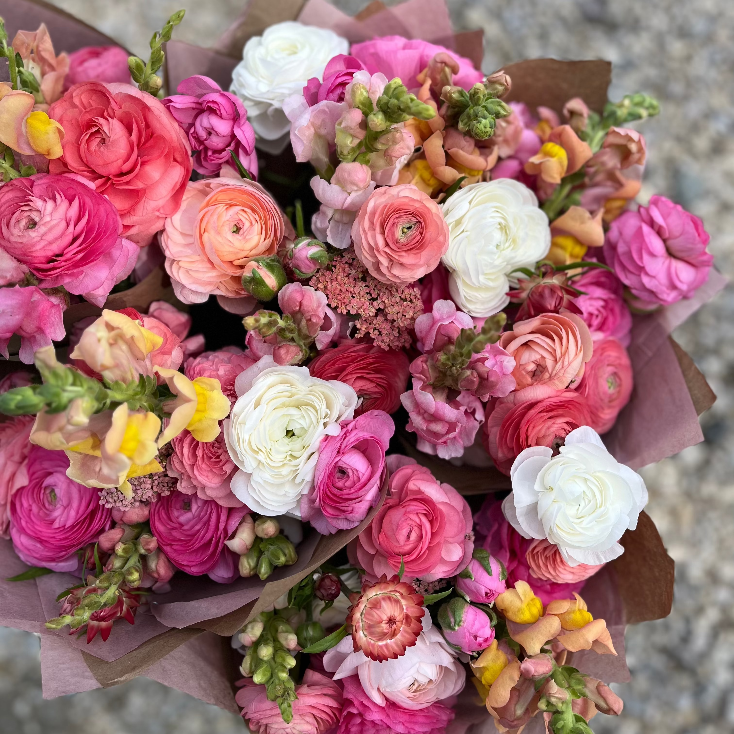 Bouquet Subscription RANUNCULUS