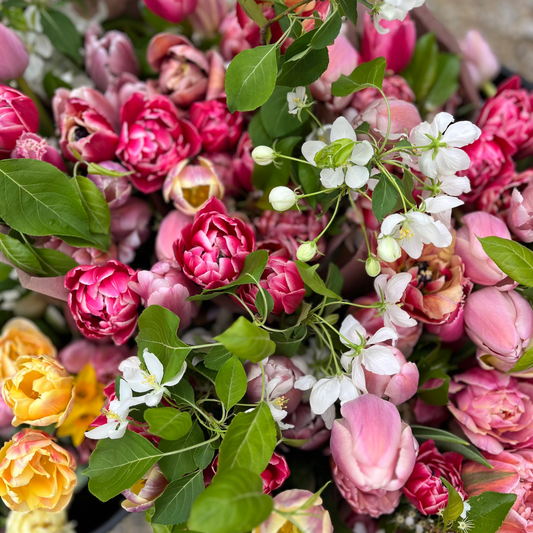 Bouquet Subscription TULIPS *NEW*