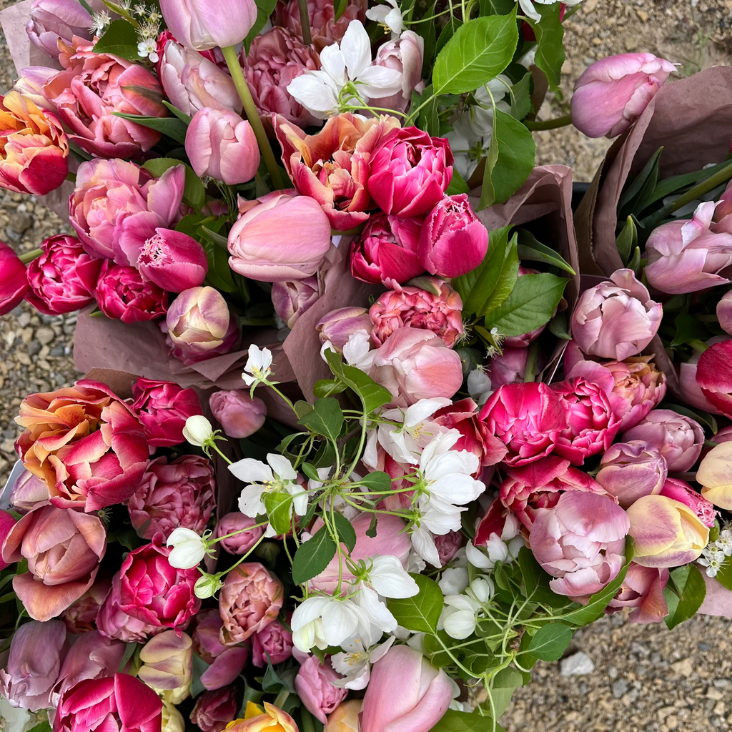 Bouquet Subscription TULIPS