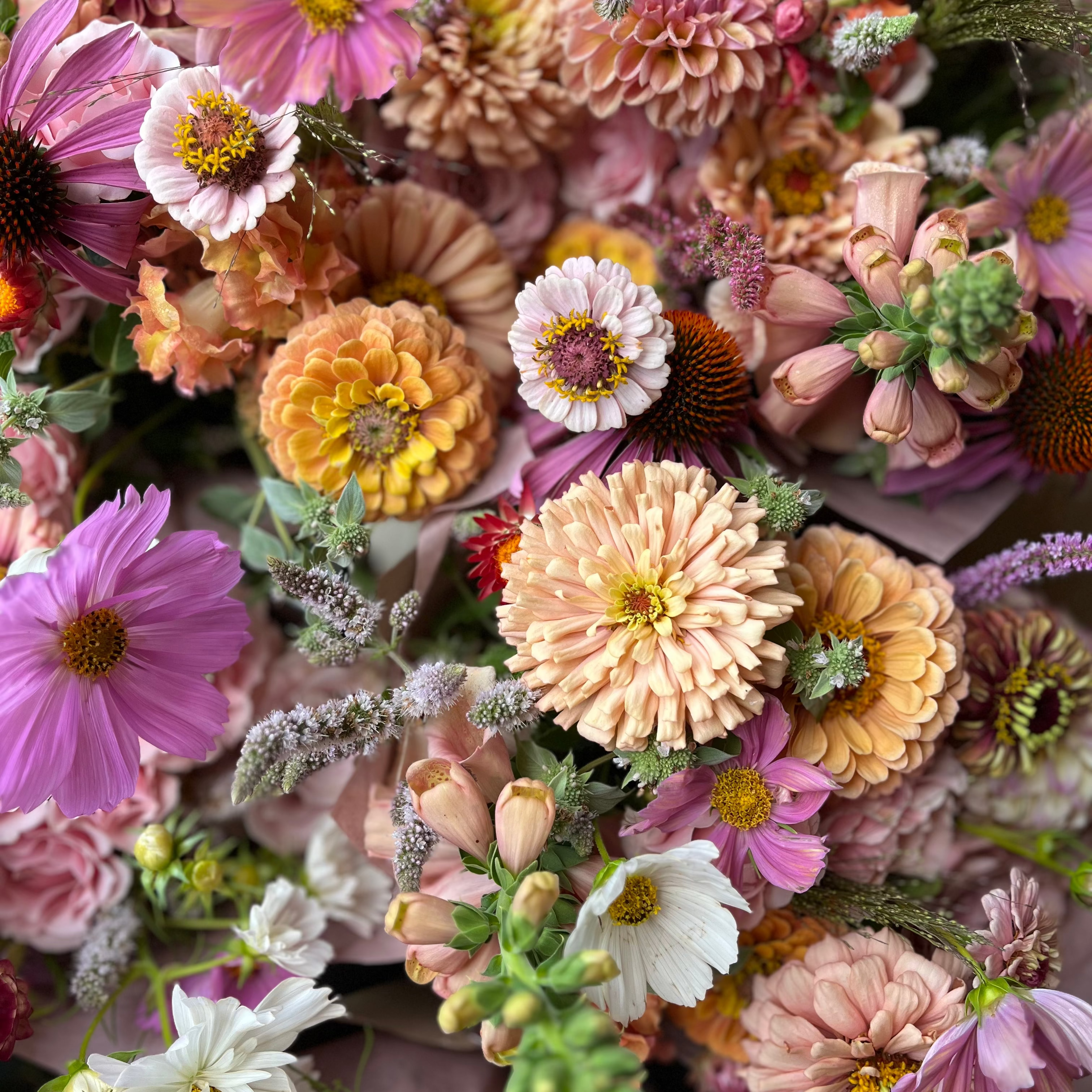 Bouquet Subscription MONTHLY