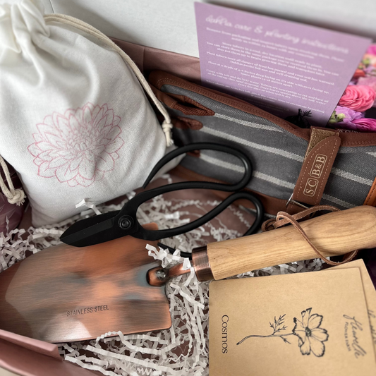 Bloom Gift Collection