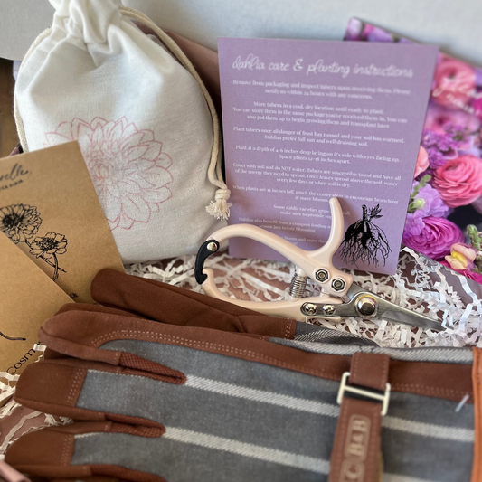 Petal Gift Collection
