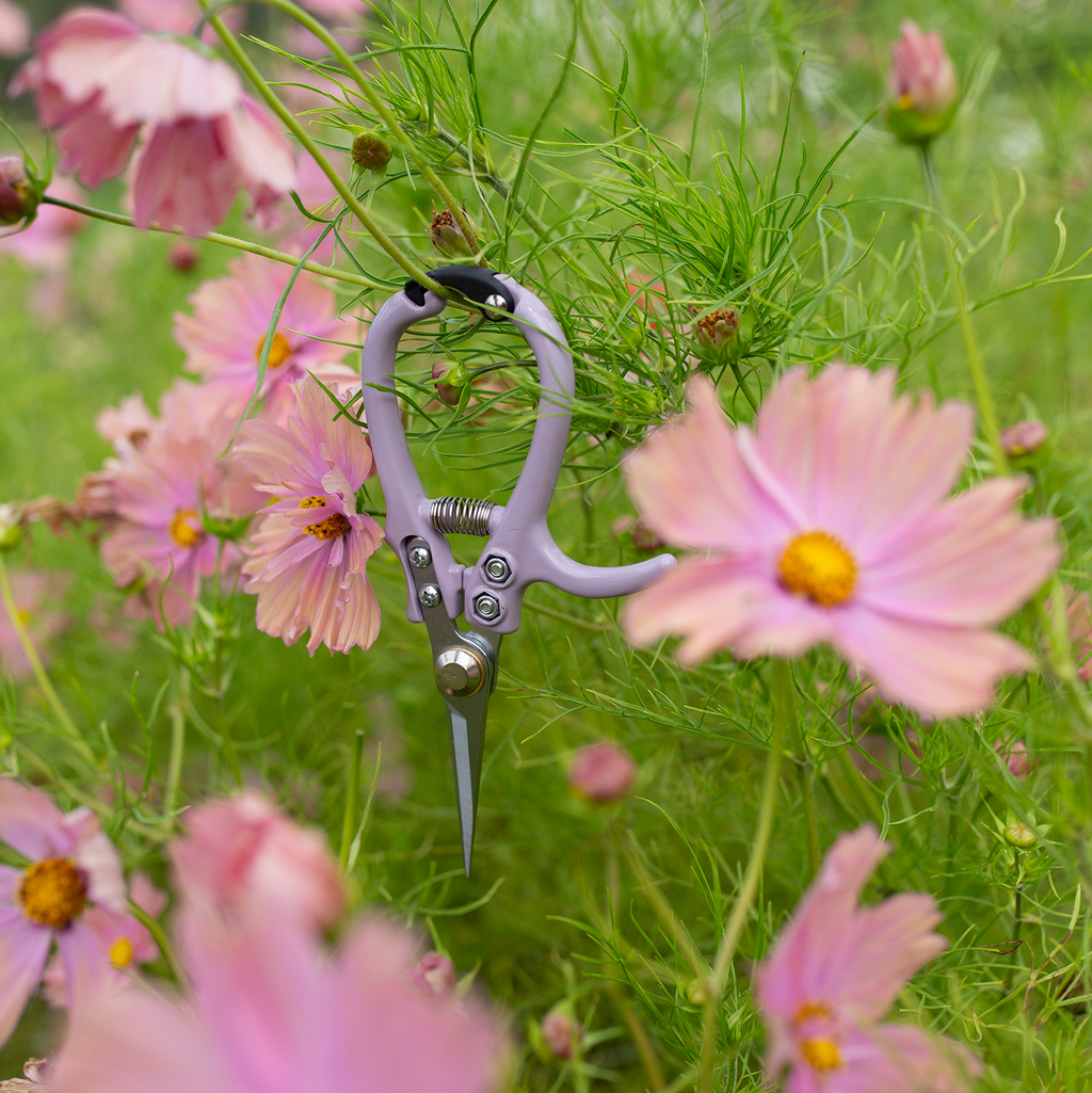 Floral Snips 'Lavender'
