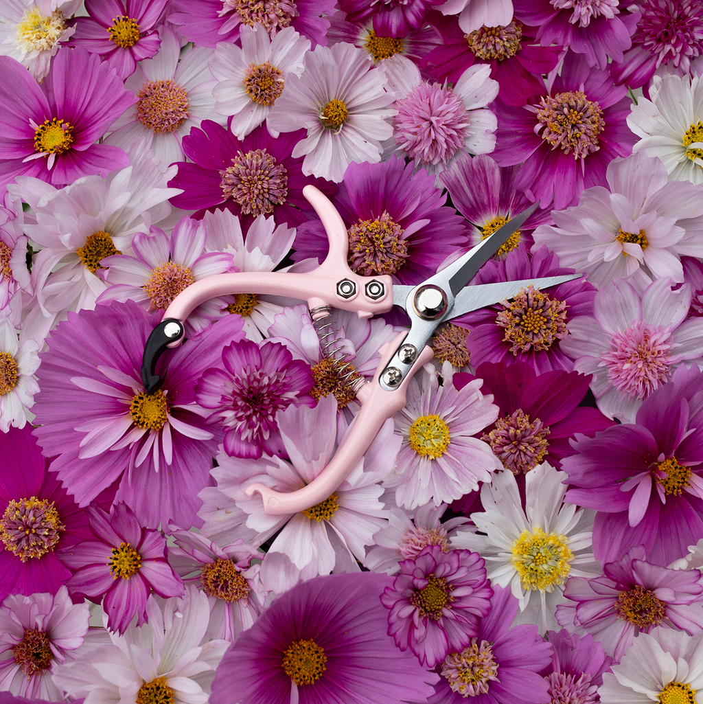 Floral Snips 'Blushed'