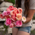 Ranunculus 'Pastel'