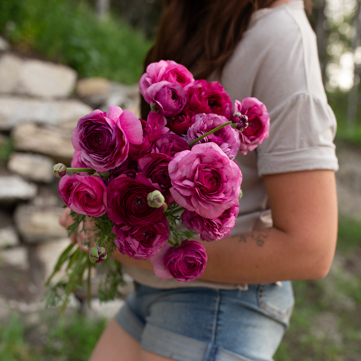 Ranunculus 'Violet'