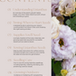 Lisianthus Growing Guide