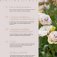 Lisianthus Growing Guide