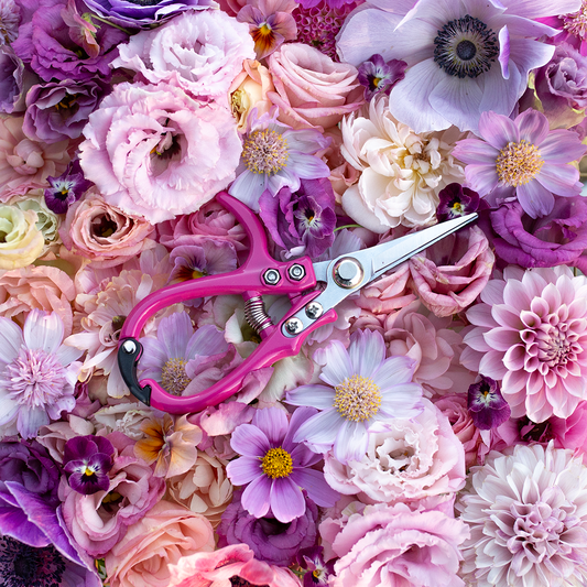Flower Snips 'Rosé' *NEW*