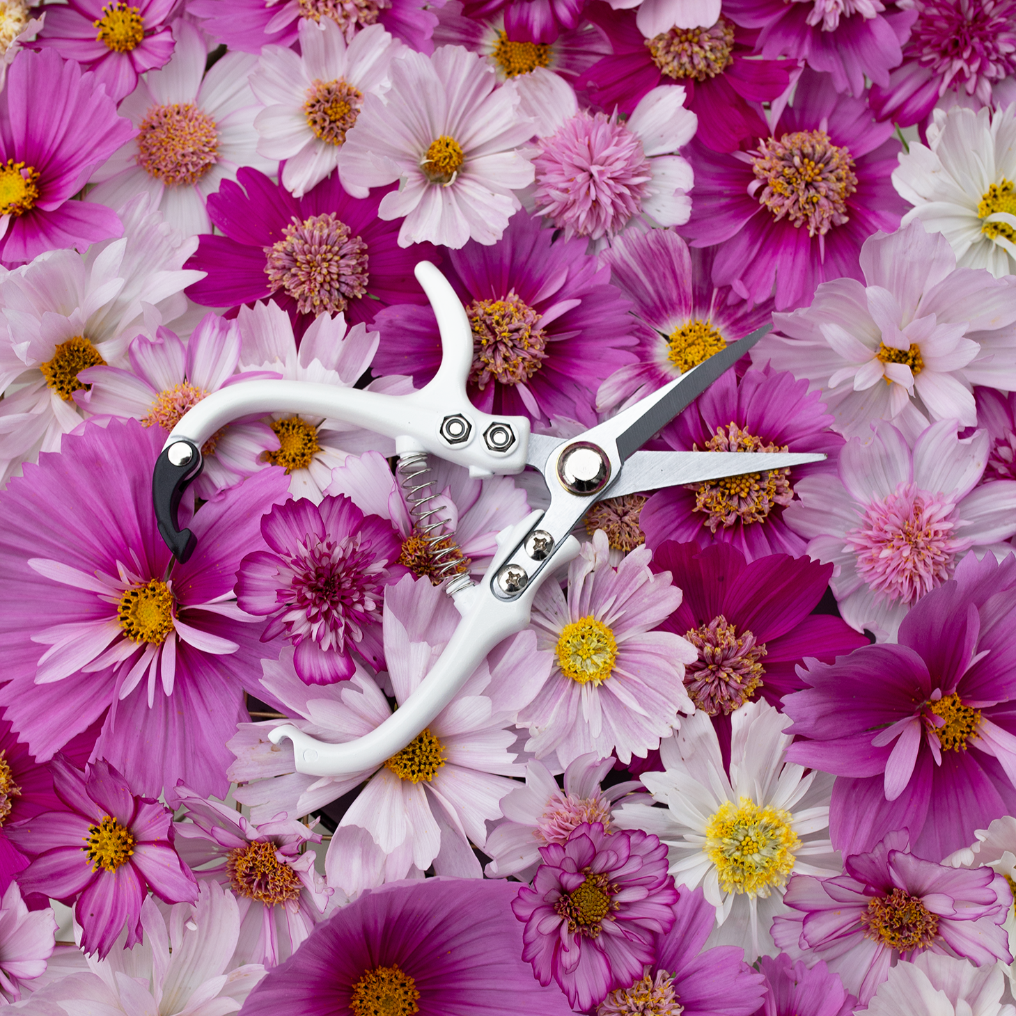 Floral Snips 'Pure White'