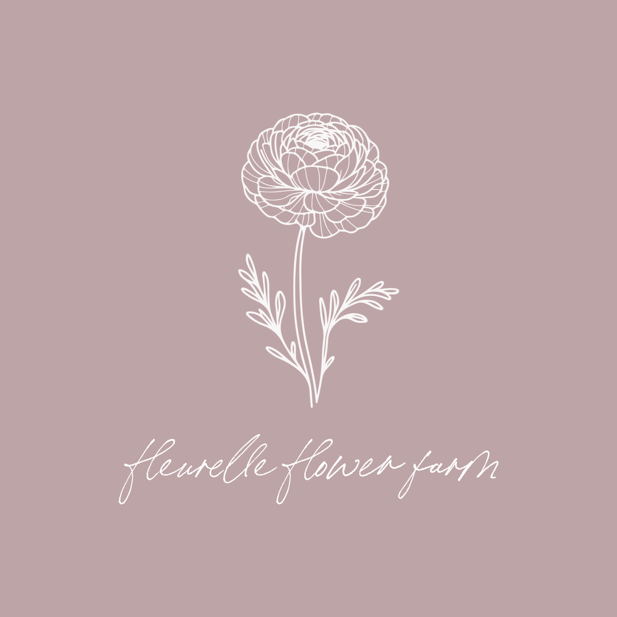 Ranunculus 'Pastel Lemon'
